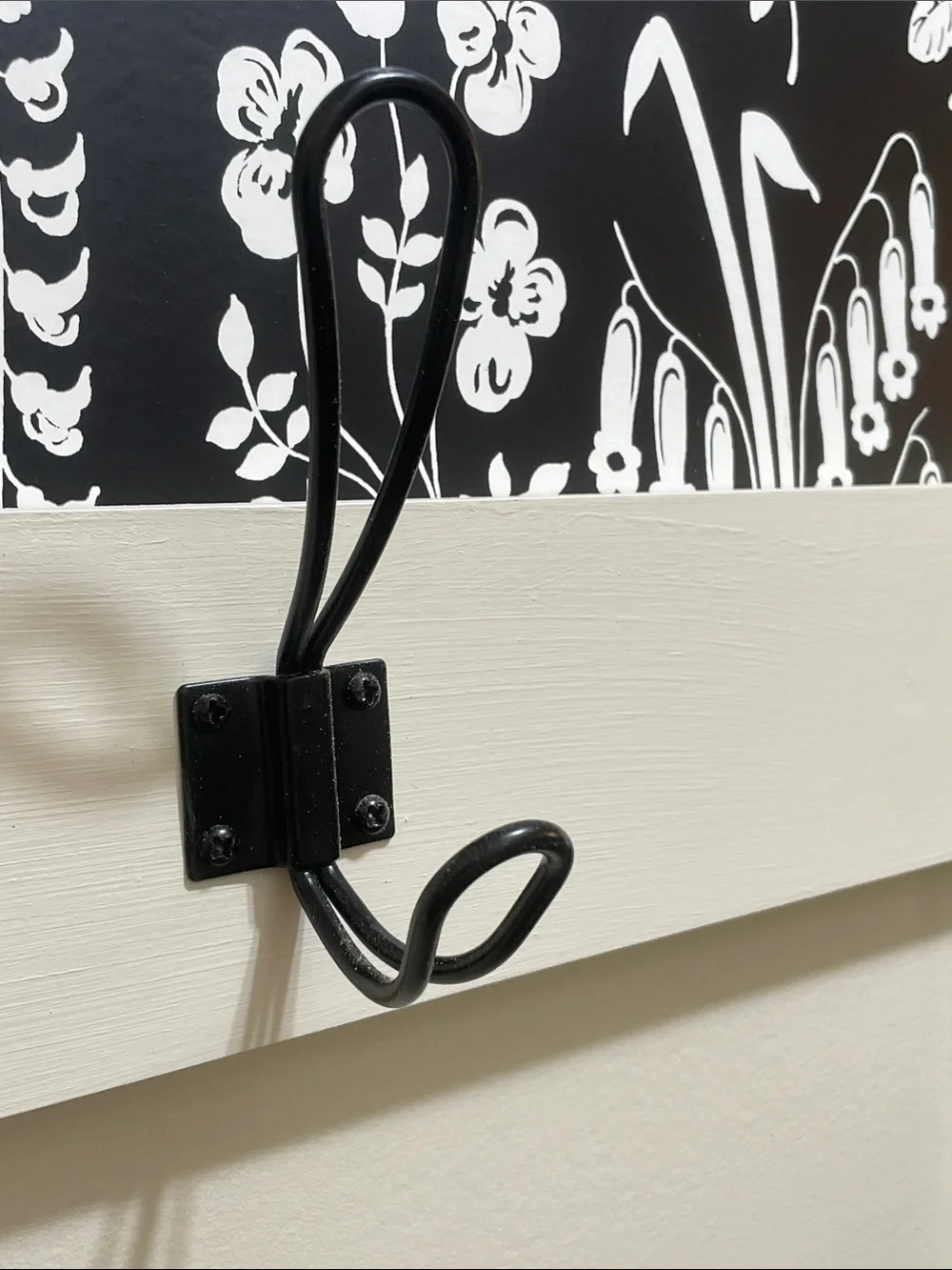 Black farmhouse style double wall hooks with hardware, set of 5